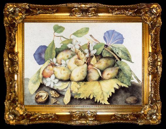 framed  Giovanna Garzoni Plate of Plums with Jasmine and Nuts, ta009-2